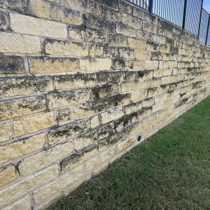 mould on walls cleaning