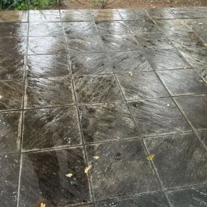 pavement-cleaning.webp