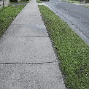 paver cleaning services