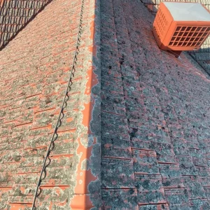 polycarbonate-roof-cleaning-melbourne.webp