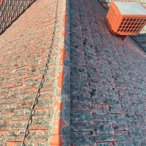 polycarbonate roof cleaning melbourne