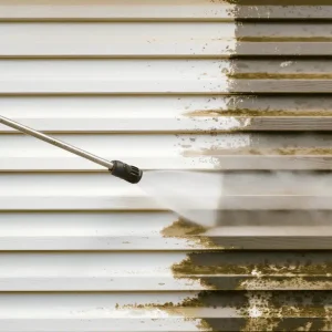 pressure-cleaning-services-near-me.webp