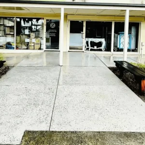 professional concrete cleaning services