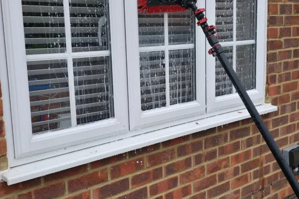 professional deep cleaning