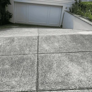 professional-driveway-cleaners-melbourne.webp