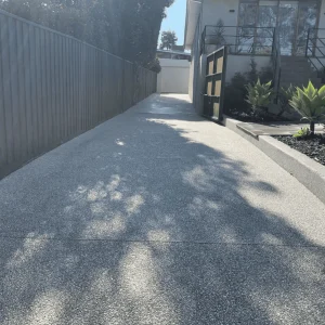 professional driveway cleaners