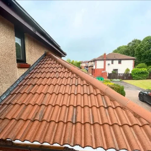 professional roof cleaning