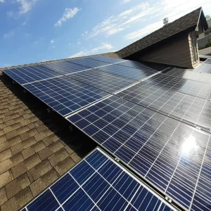professional solar panel cleaning Balaclava