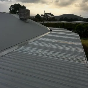 remove mould from colorbond