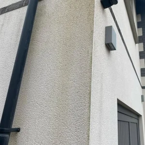 render cleaning cost