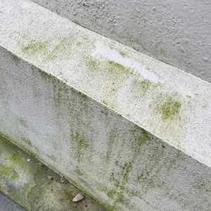 render-cleaning-near-me.webp