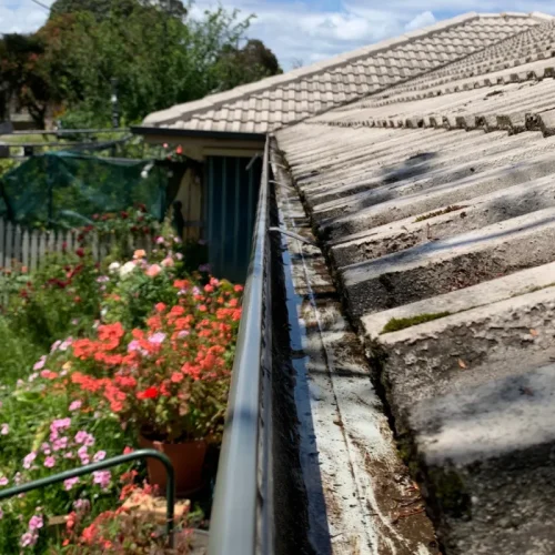 roof and gutter cleaning