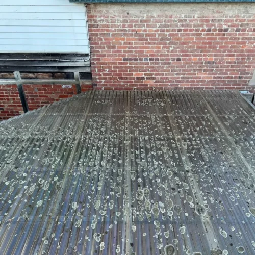roof cleaning job
