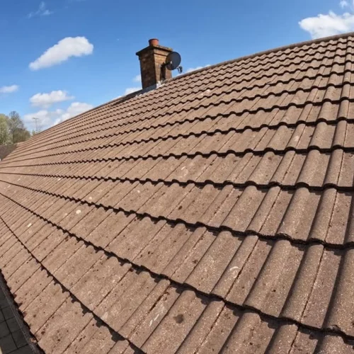 roof cleaning service