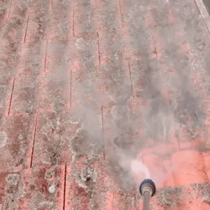 roof cleaning soft wash