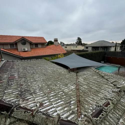 roof-expert.webp