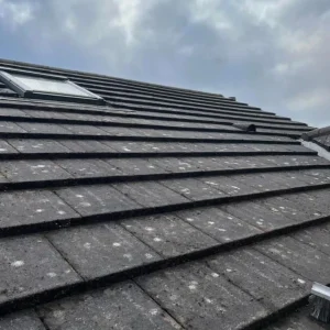 roof-fungus-removal.webp