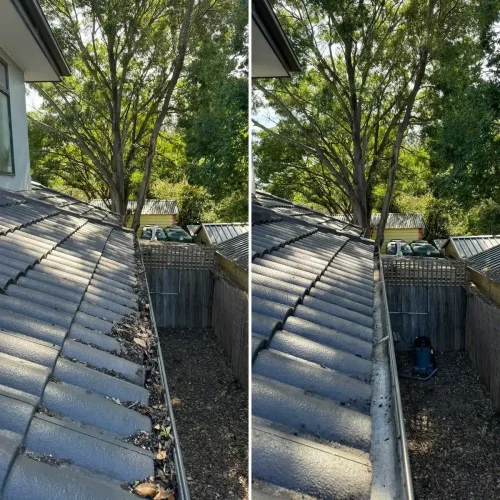 roof-gutter-cleaning.webp