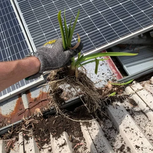 roof gutter cleaning near me