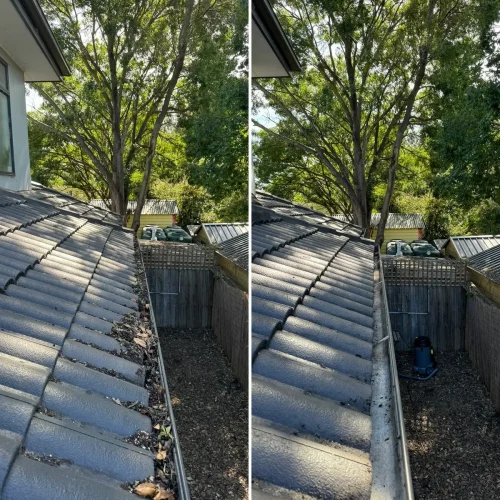 roof gutter cleaning