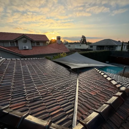 roof-moss.webp