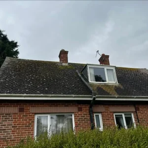 roof moss removal