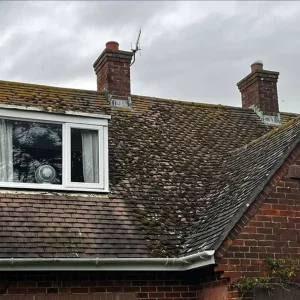 roof moss removal melbourn