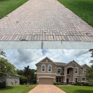 roof mould removal service