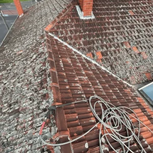 roof-pressure-cleaning-in-melbourne.webp