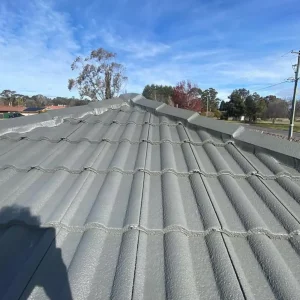 roof-pressure-wash.webp