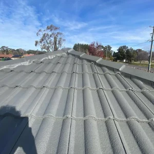 roof pressure wash