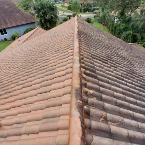 roof-soft-wash.webp