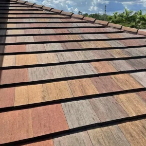 roof-soft-washing.webp