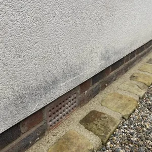 soft wash render cleaning