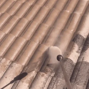soft-wash-roof-cleaning-service.webp