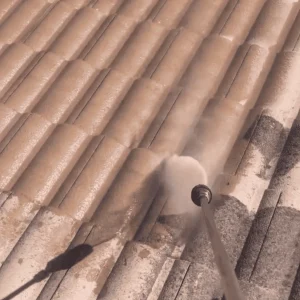 soft wash roof cleaning service