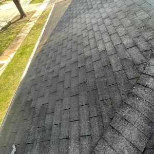 soft-wash-roof-cleaning-system.webp