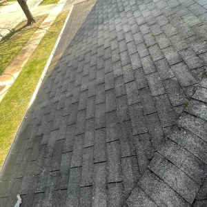 soft wash roof cleaning system