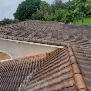 soft wash roof
