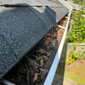 soft wash solar panel cleaning