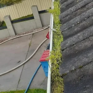 solar-panel-cleaner-melbourne.webp