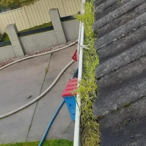 solar panel cleaner melbourne