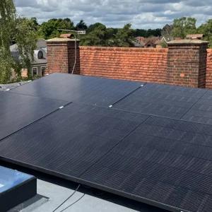 solar panel cleaning Alamein cost