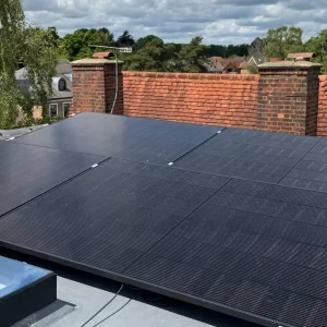 solar panel cleaning Alamein cost