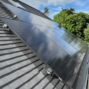solar panel cleaning Alamein quoteм