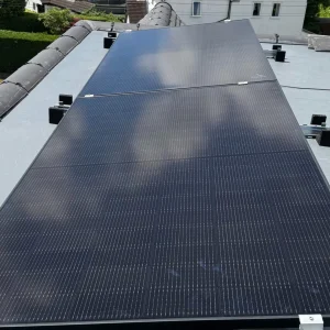 solar panel cleaning Alamein residential