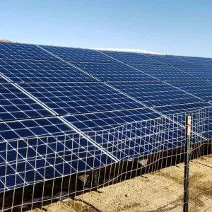 solar panel cleaning Ashburton soft wash