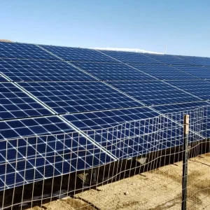 solar panel cleaning Ashburton soft wash