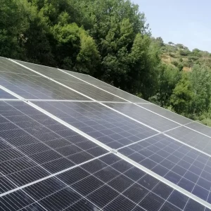 solar panel cleaning Aspendale professional