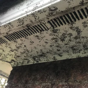 solar-safe gutter vacuum cleaning